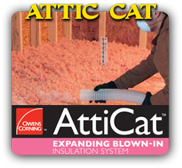 san-jose-attic-cat-roofing-contractor